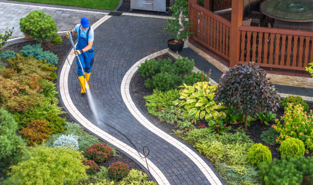 Best Roof Pressure Washing  in Midway, GA